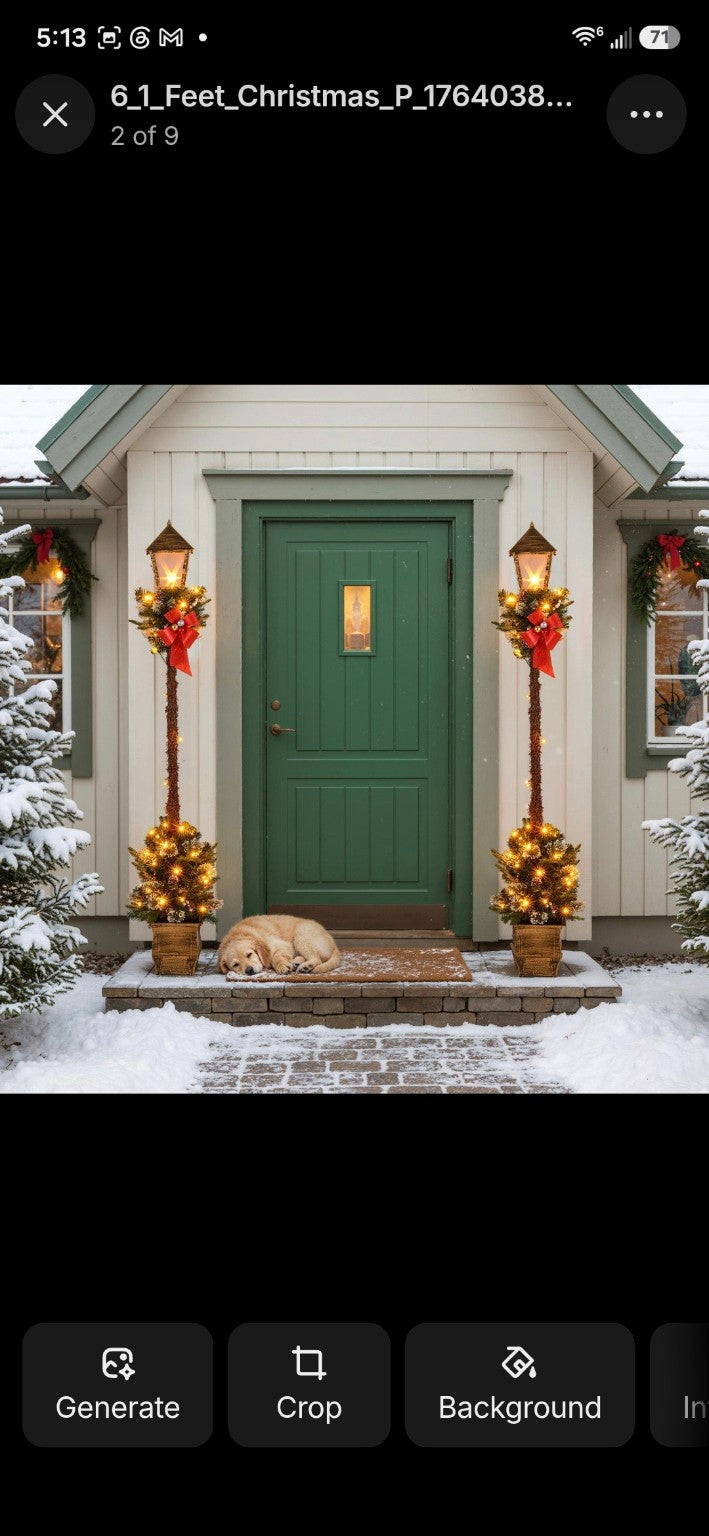 Christmas Decor and Wrap