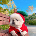 Fruit-Print Fleece Dog Hoodie for Small Dogs & Puppies