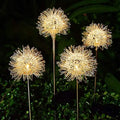Solar Dandelion Lawn Lights – 2-Pack