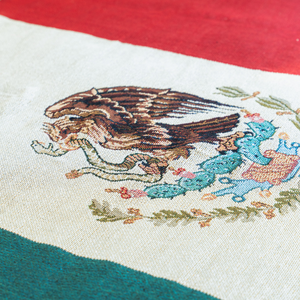 CEIBO HOUSE Mexico Flag Woven Cotton-Blend Throw Blanket