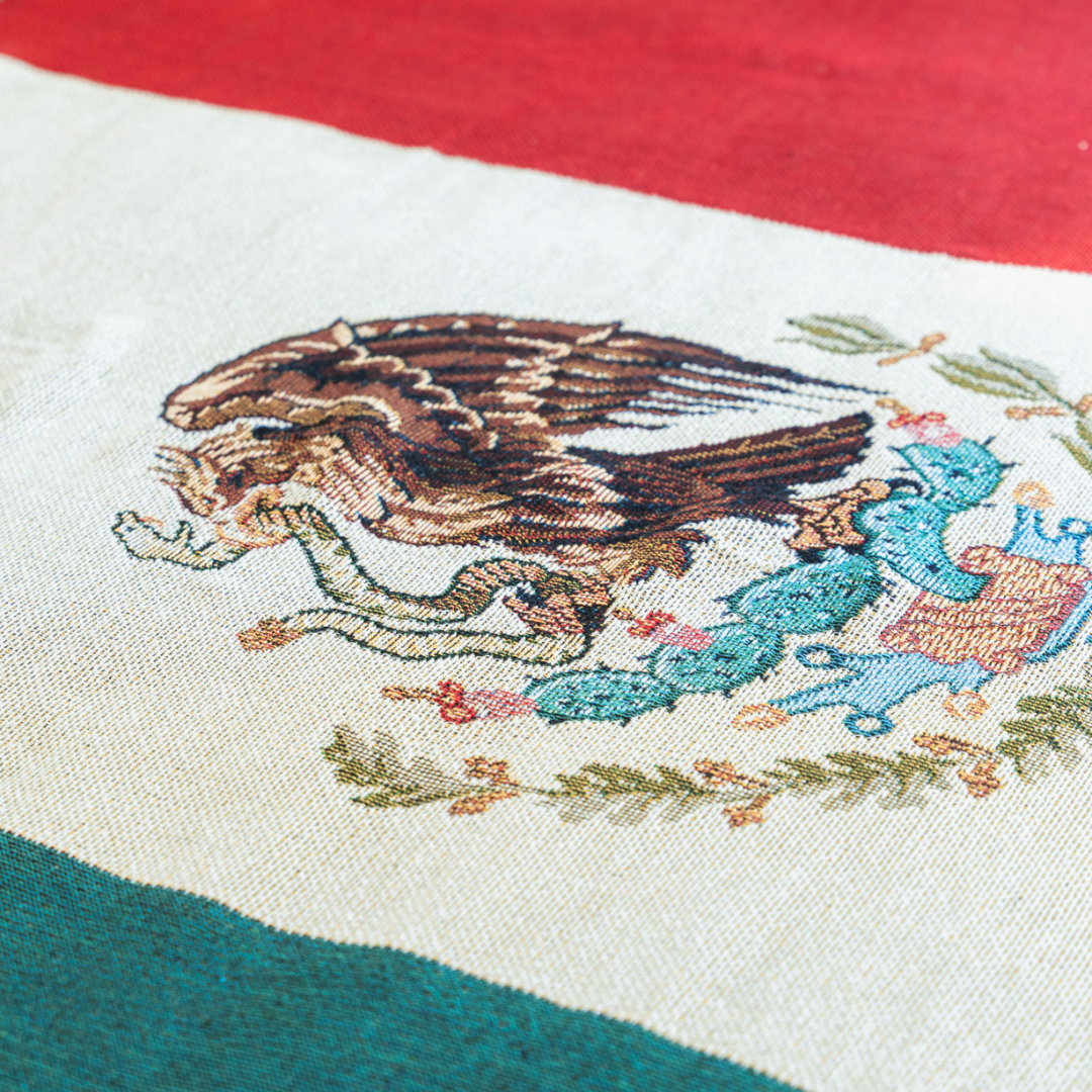 CEIBO HOUSE Mexico Flag Woven Cotton-Blend Throw Blanket