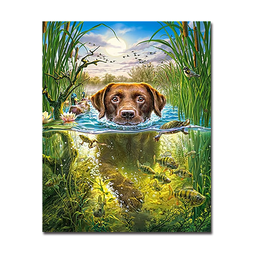 Swimming Dog Paint-by-Numbers Canvas