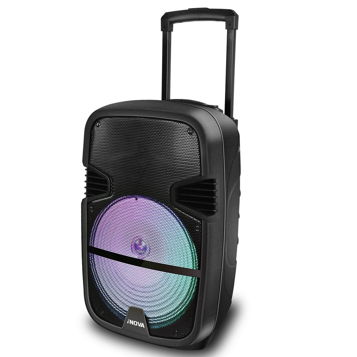 12-Inch Portable Bluetooth PA Karaoke Speaker with Wired Mic