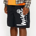 Men's Plus Size Quick-Dry Printed Beach Shorts