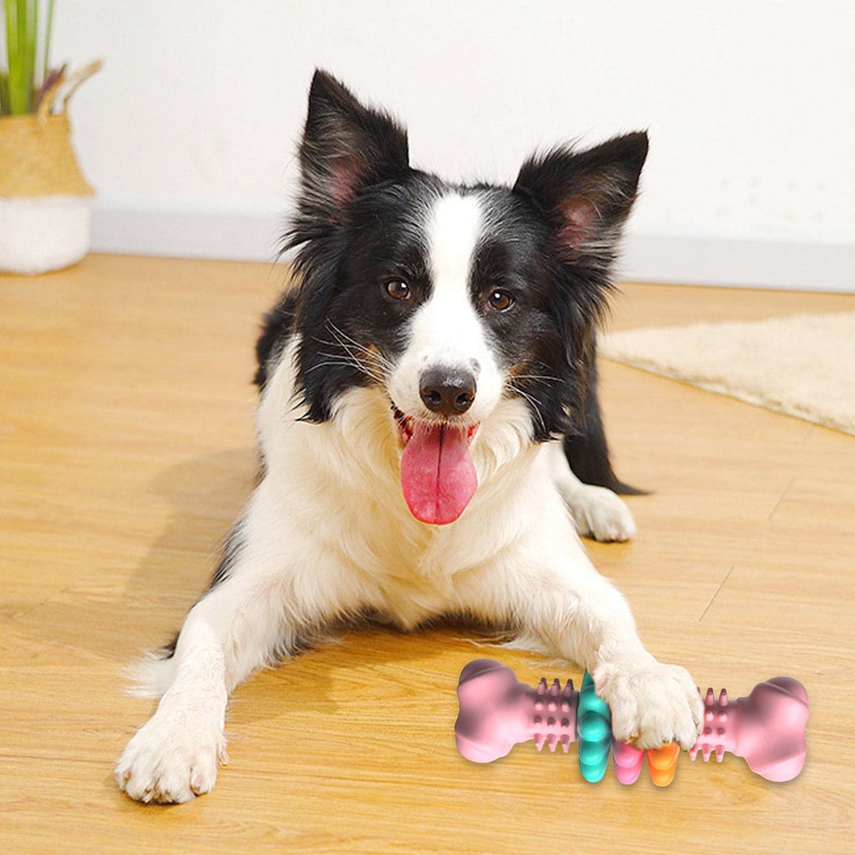 Dog Chew Toy Dog Bone Type Dogs Teeth Cleaning Toys Indestructible TPR Bone Chewing Bite Resistant Teething