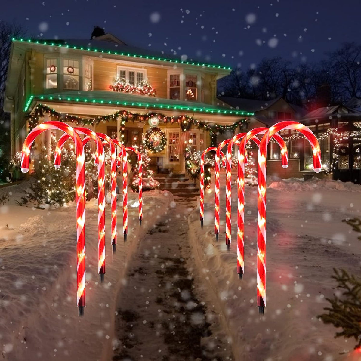Outdoor Solar Candy Cane Lights with 45 LEDs