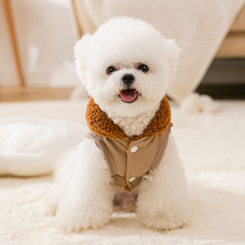 Coffee-Color Knit Dog Sweater – Korean Style for Small Pets