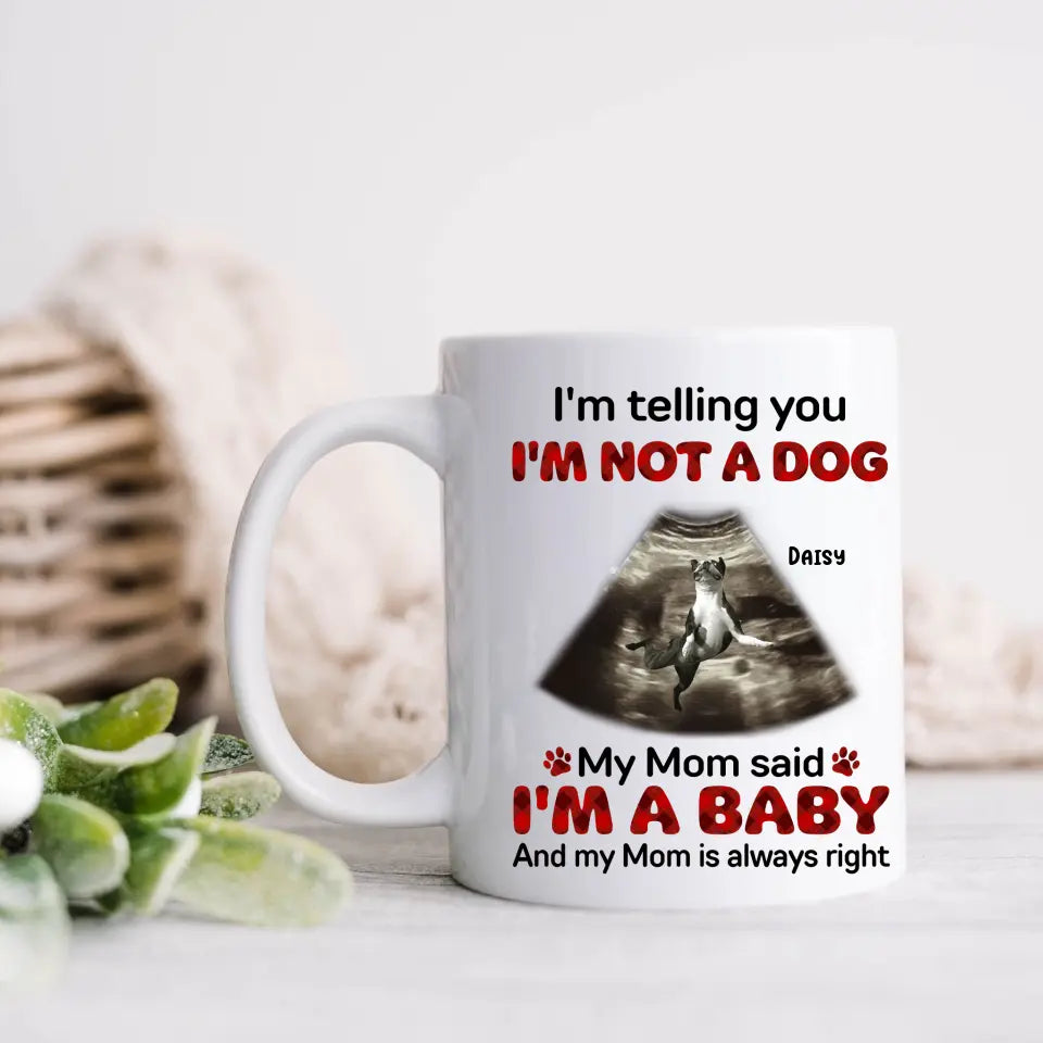 Personalized Funny Dog Photo Mug – I'm Not a Dog