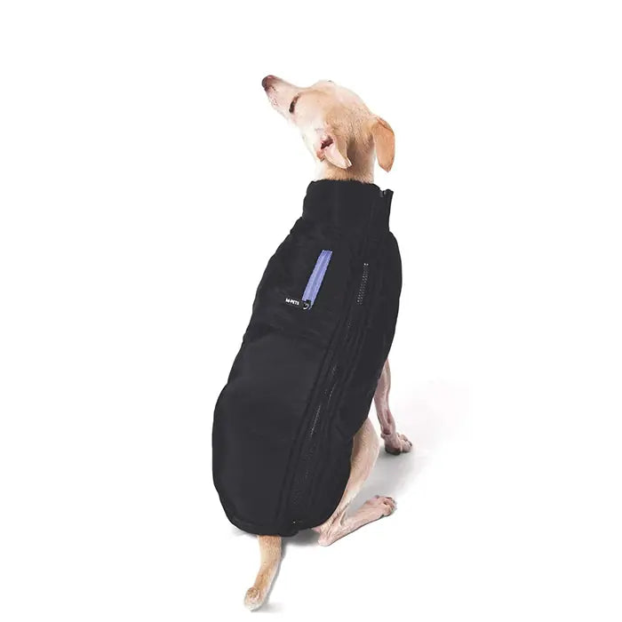 M-Pets Gentle Dog Winter Jacket Waterproof Coat Black Blue Large