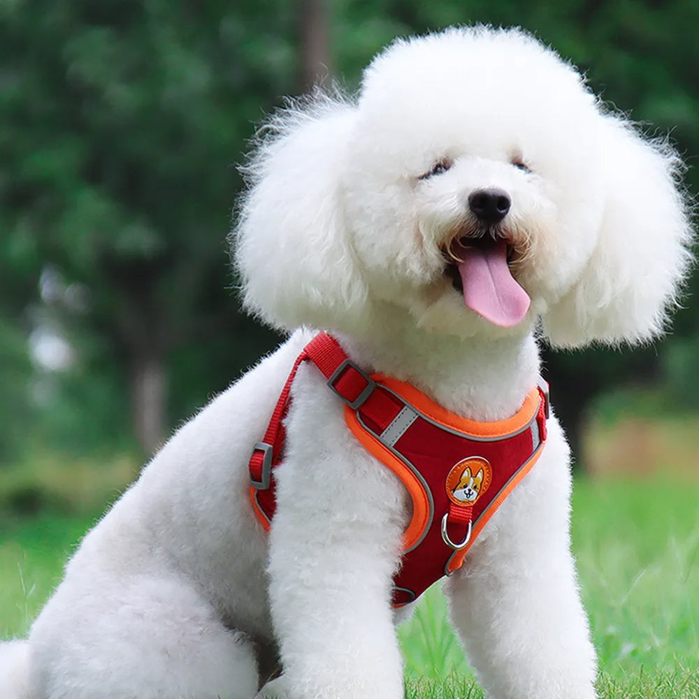 Reflective Dog & Cat Harness with Leash – Adjustable No-Pull Vest