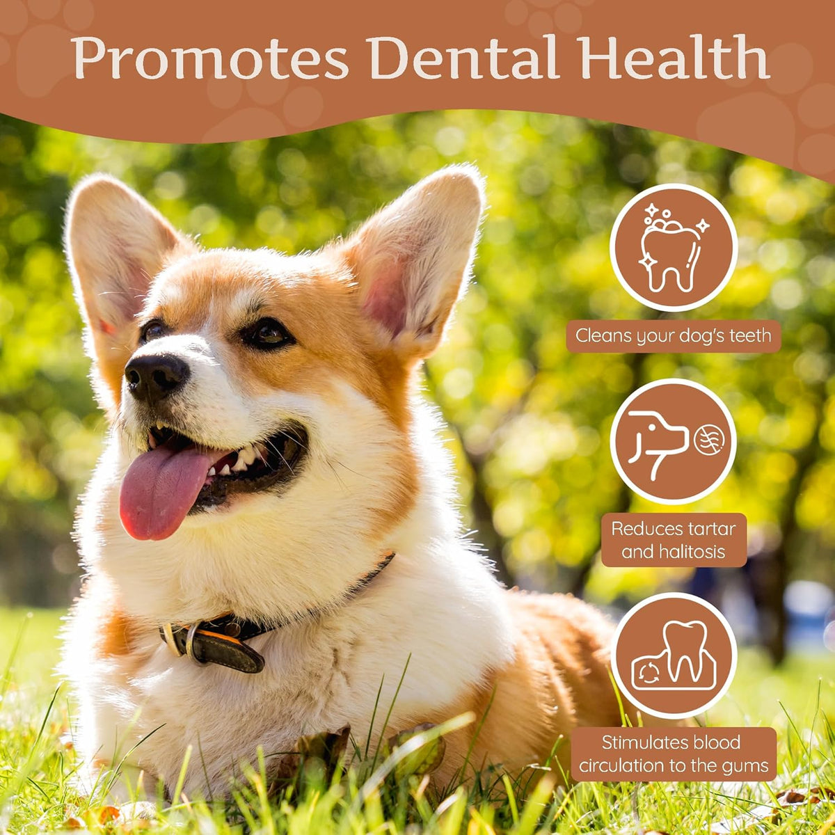Coffee Wood Dog Chew – Natural Long-Lasting Chew Stick