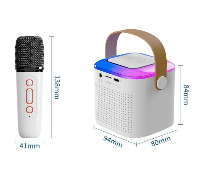 Bluetooth Karaoke Speaker with 2 Wireless Mics & RGB Lights