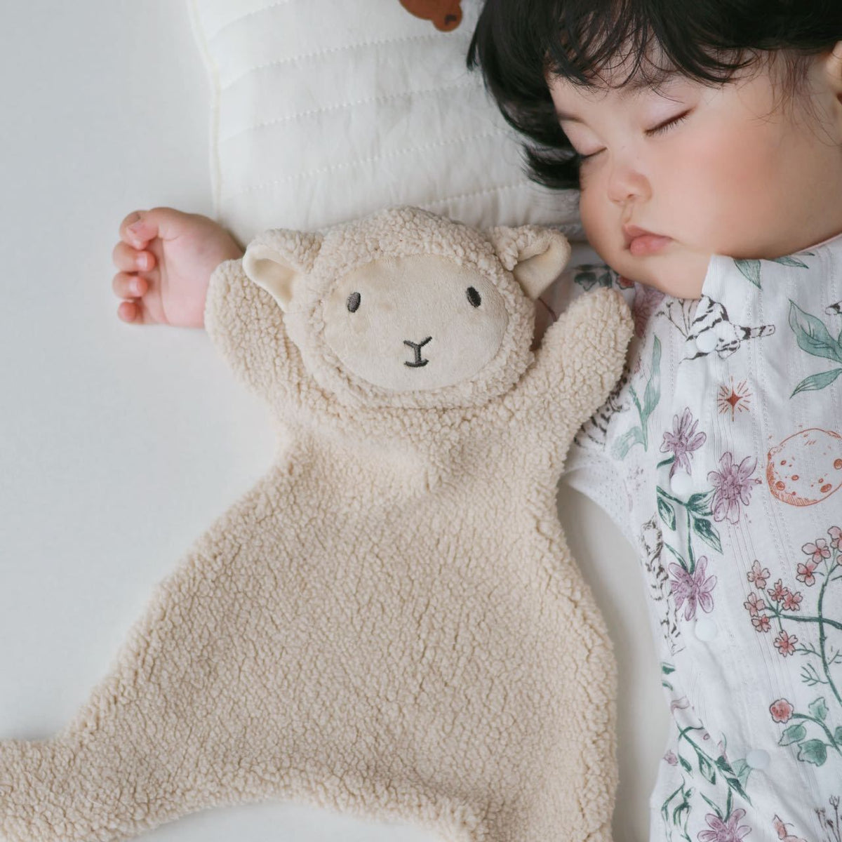 Soft lamb snuggle