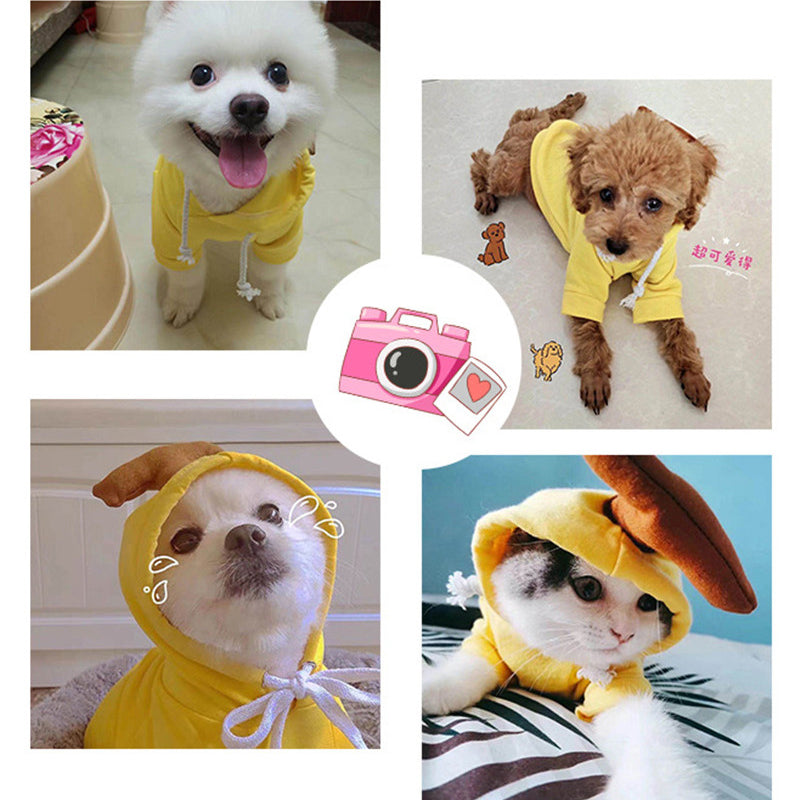 Fruit-Print Fleece Dog Hoodie for Small Dogs & Puppies