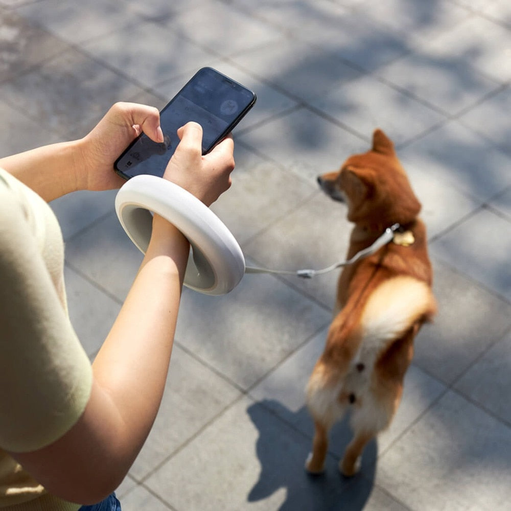 Smart Remote MOESTAR Retractable Dog Ring Led lighting Flexible Puppy Traction Leash 2.6M