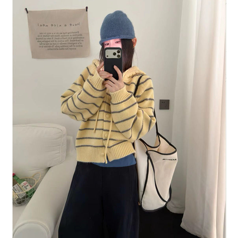 Women's Striped Hooded Sweater