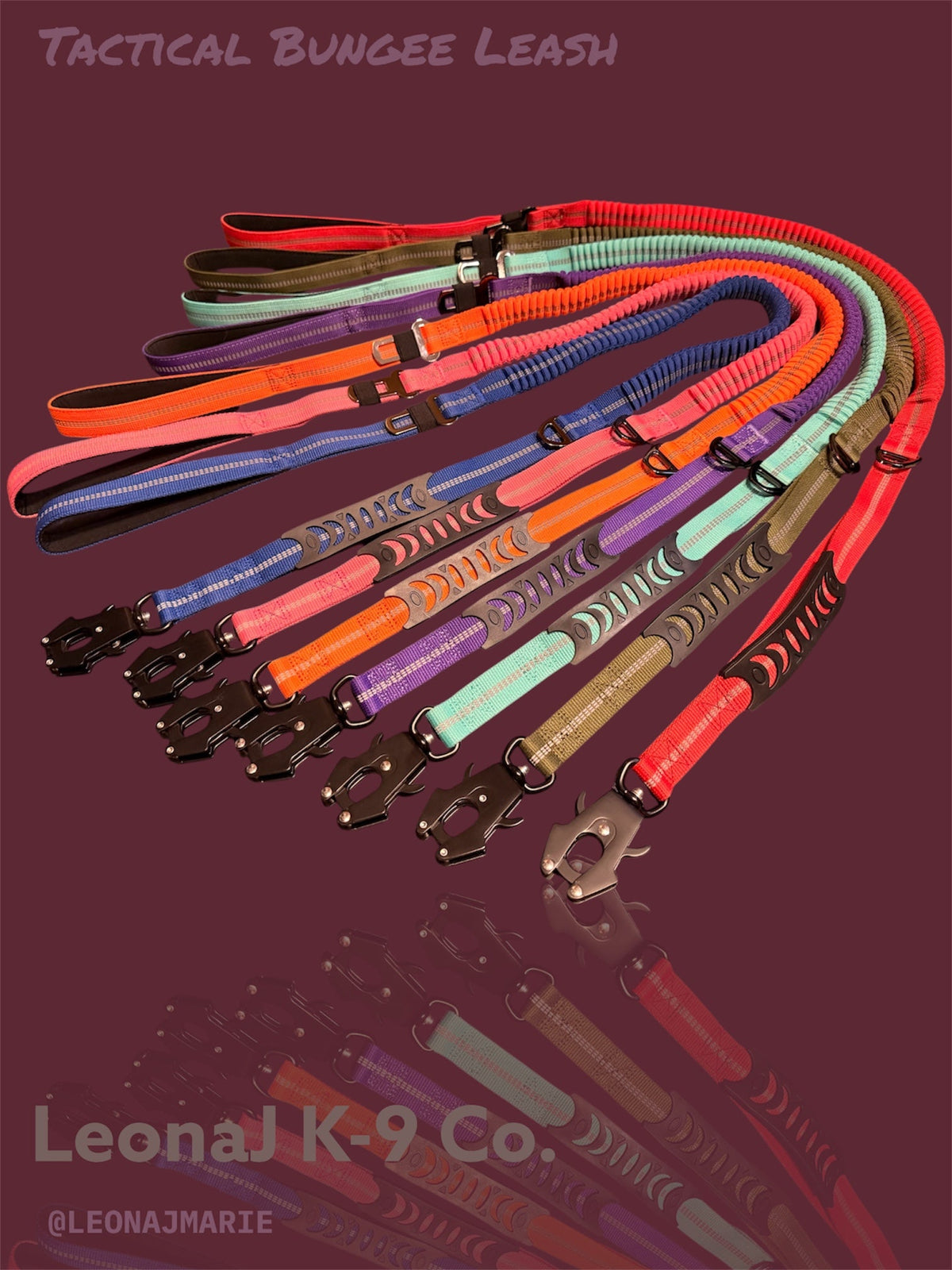 Heavy Duty Quick-Release Bungee Leash (Absorbs Pulls)