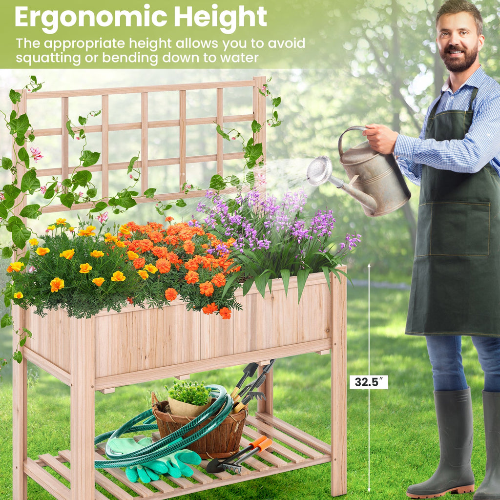 Elevated Wooden Raised Garden Bed with Trellis
