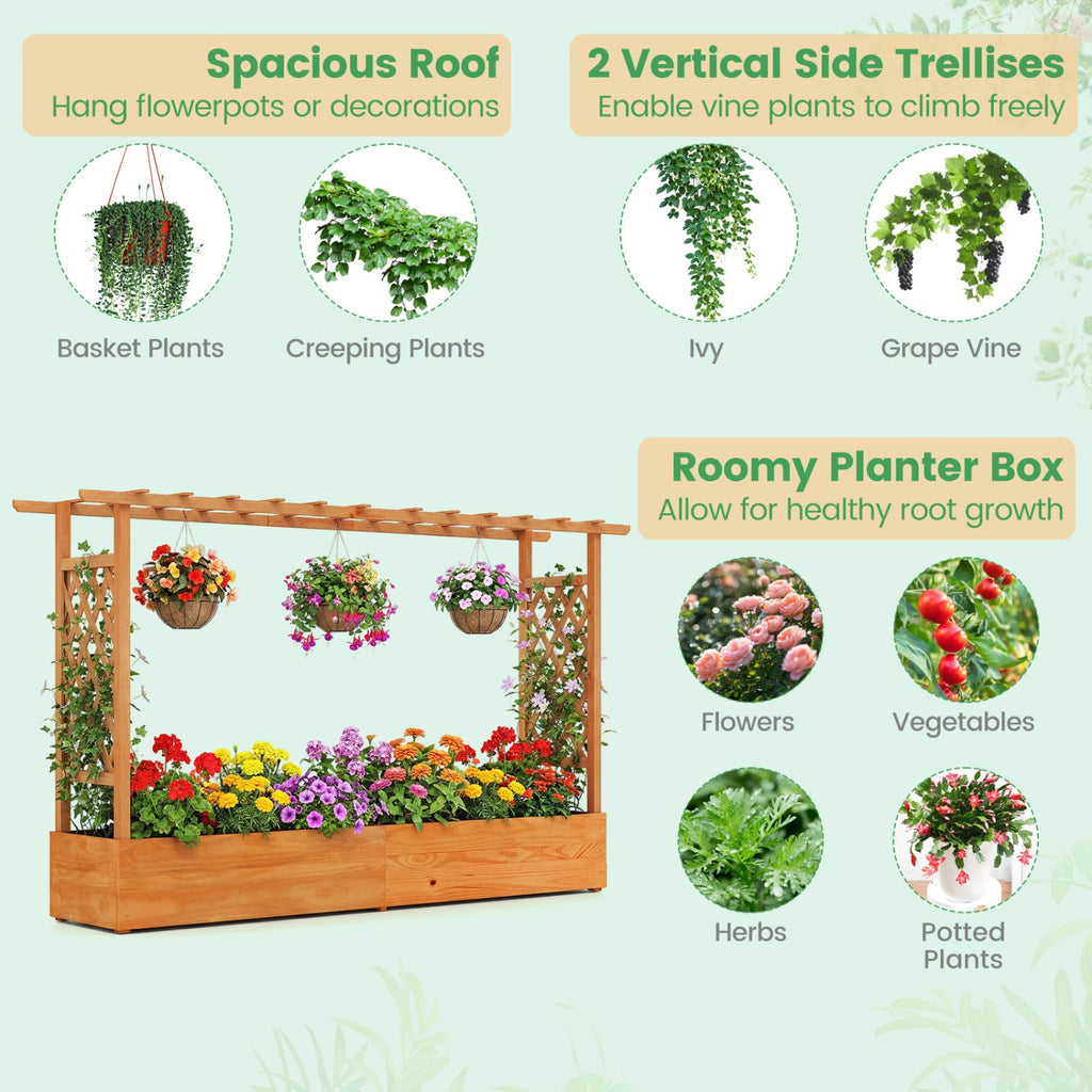 Raised Garden Bed with Lattice Trellis & Drainage