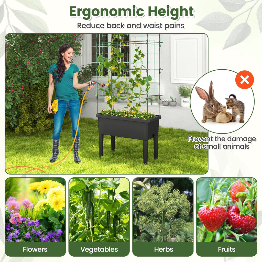 Self-Watering Raised Garden Bed with Climbing Trellis – Black