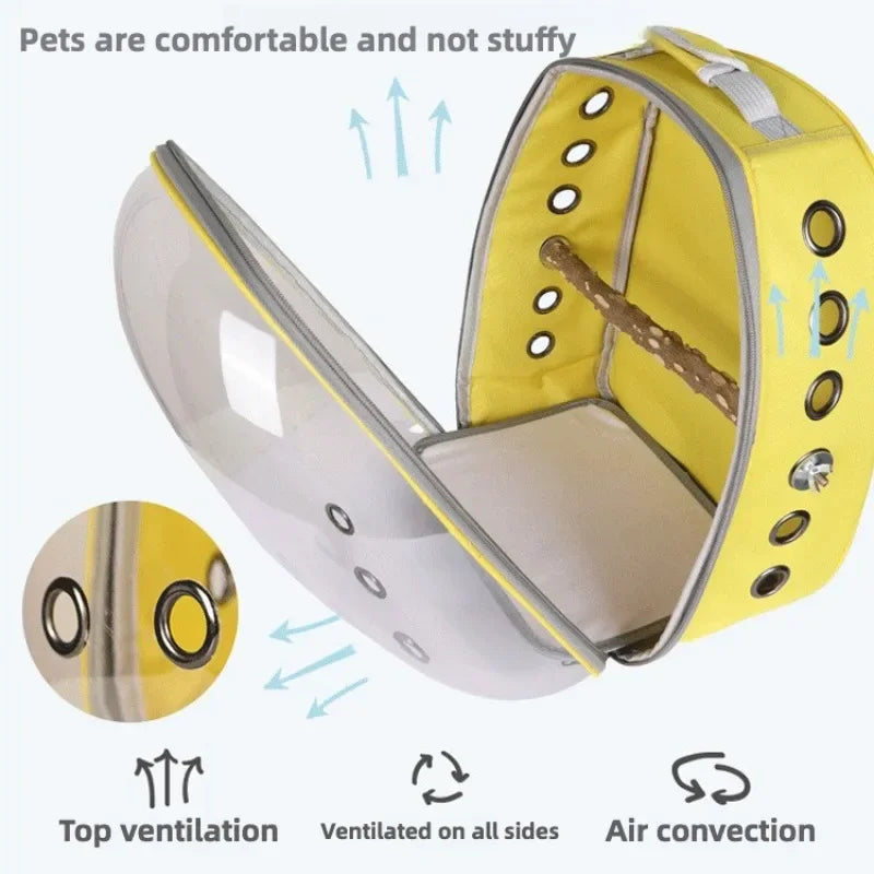Bird Travel Carrier Cage Clear Backpack to Carry Parakeet Cockatiel Parrot with Metal Tray Wood Perch parrot
