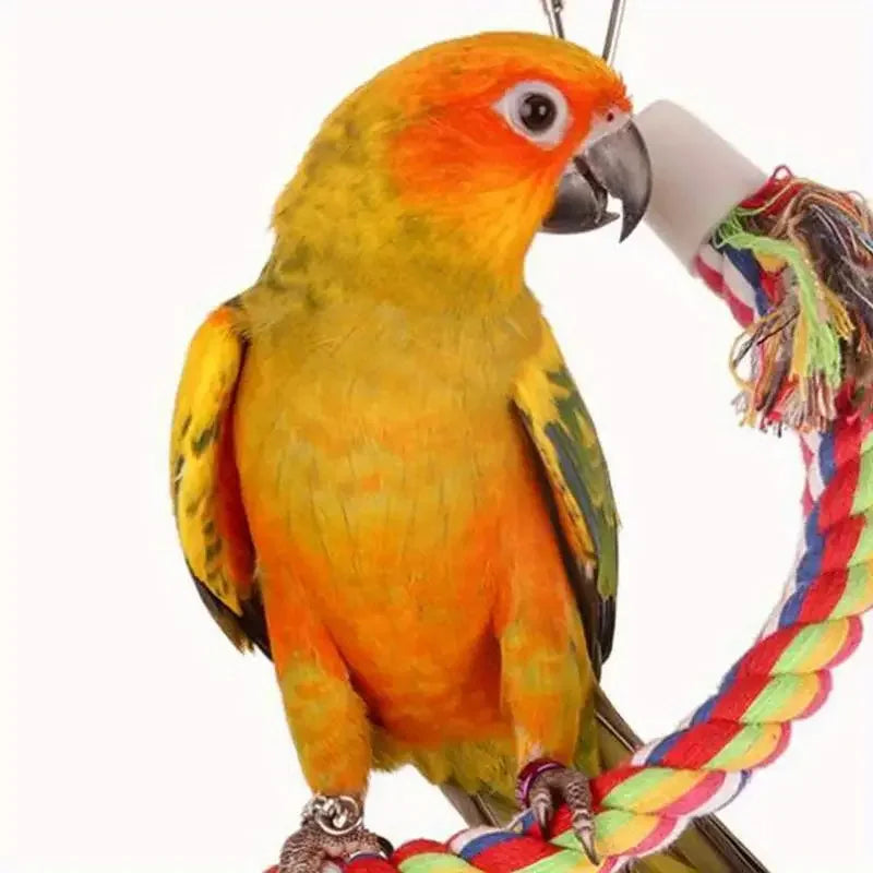 Colorful Braided Rope Parrot Swing & Bird Cage Toy