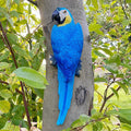 Wall-Mounted Resin Parrot Garden Statue