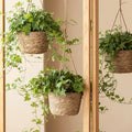 Hanging Seagrass Planter Basket