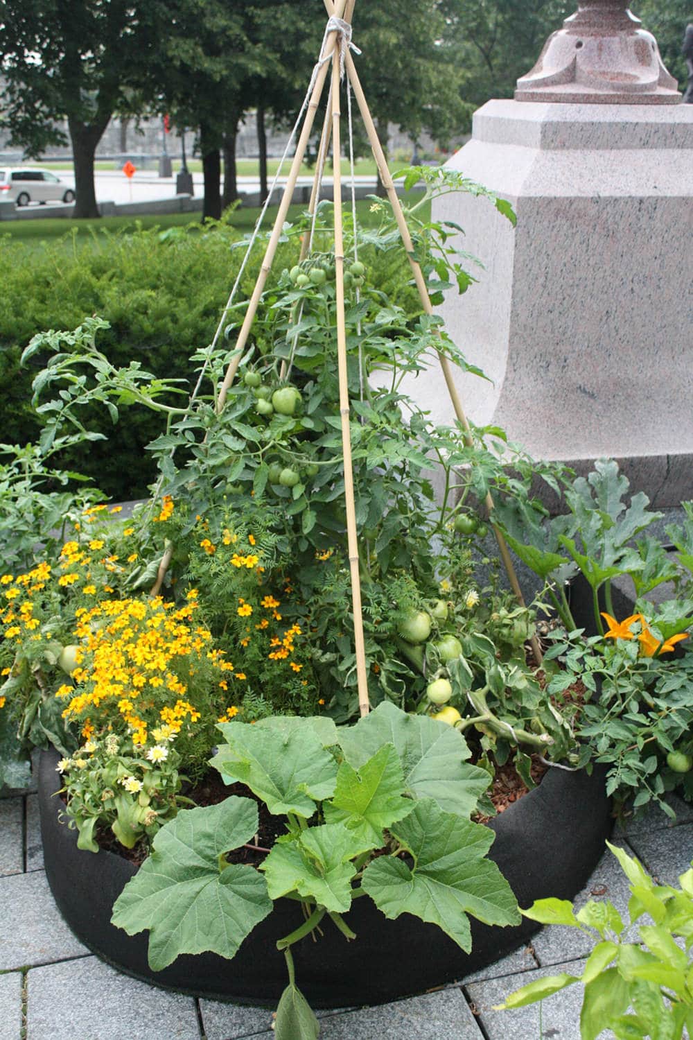 Smart Pot Round Raised Garden Bed