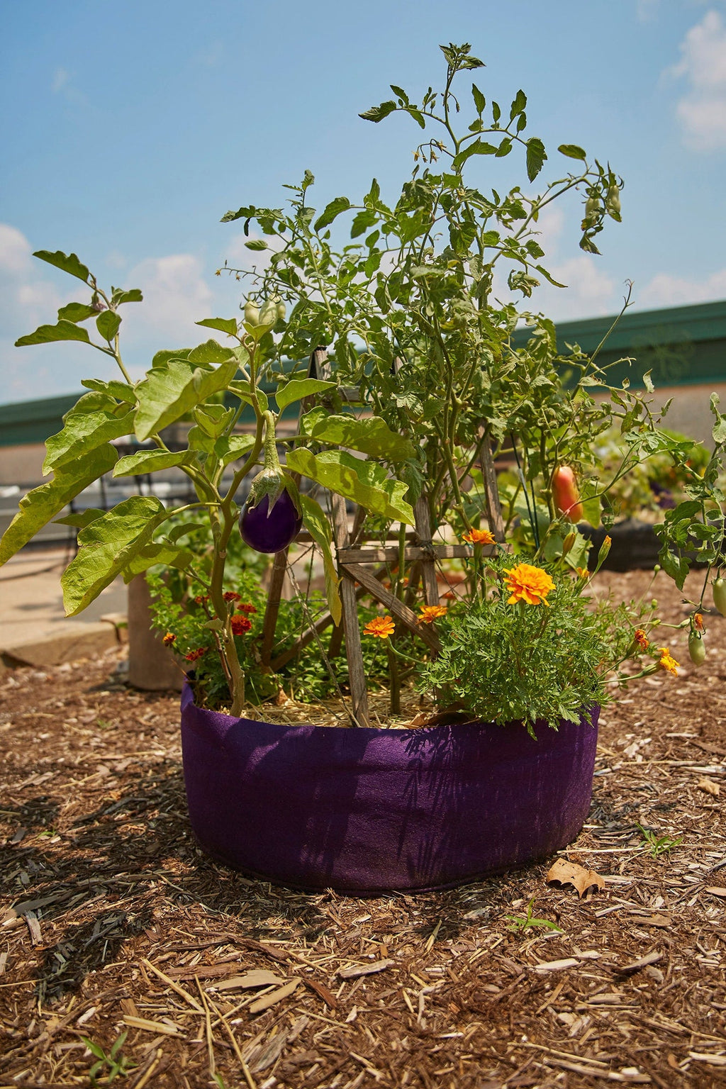 Smart Pot Round Raised Garden Bed