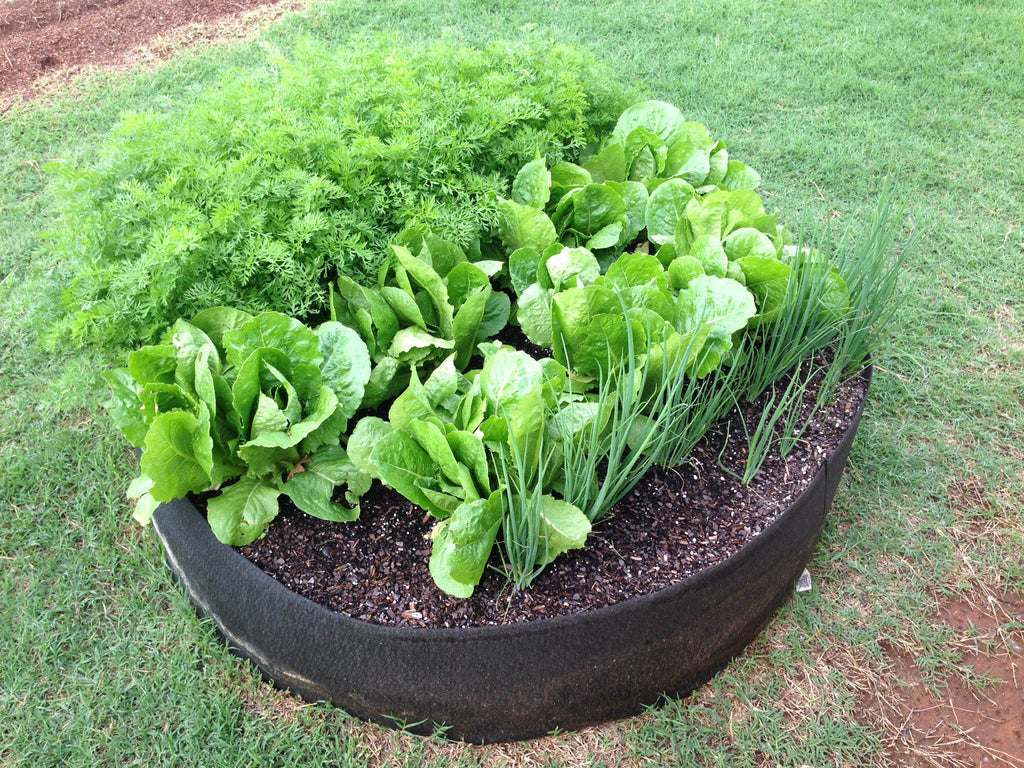 Smart Pot Round Raised Garden Bed