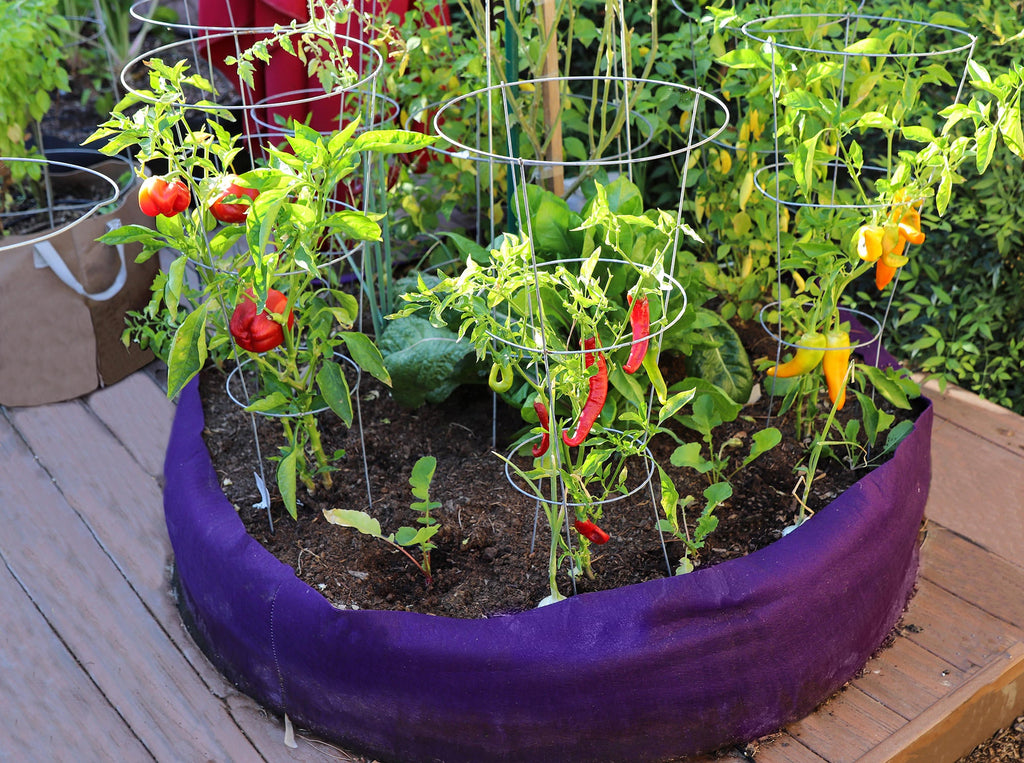 Smart Pot Round Raised Garden Bed