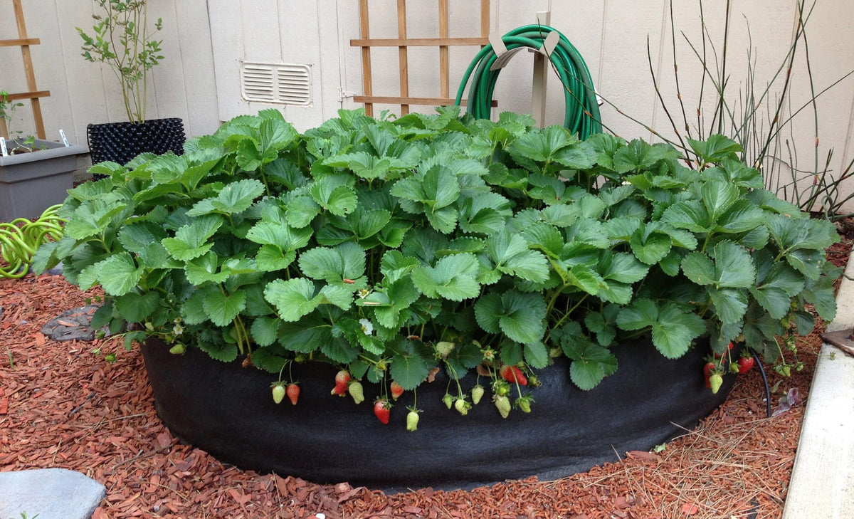 Smart Pot Round Raised Garden Bed