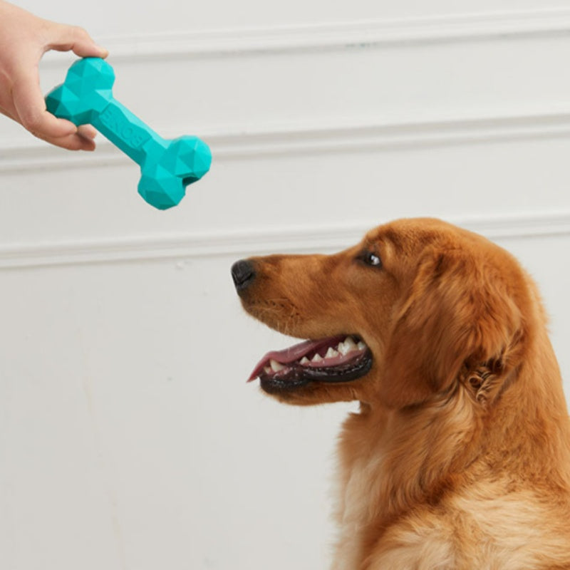 Bite-Resistant Rubber Bone Chew Toy for Dogs