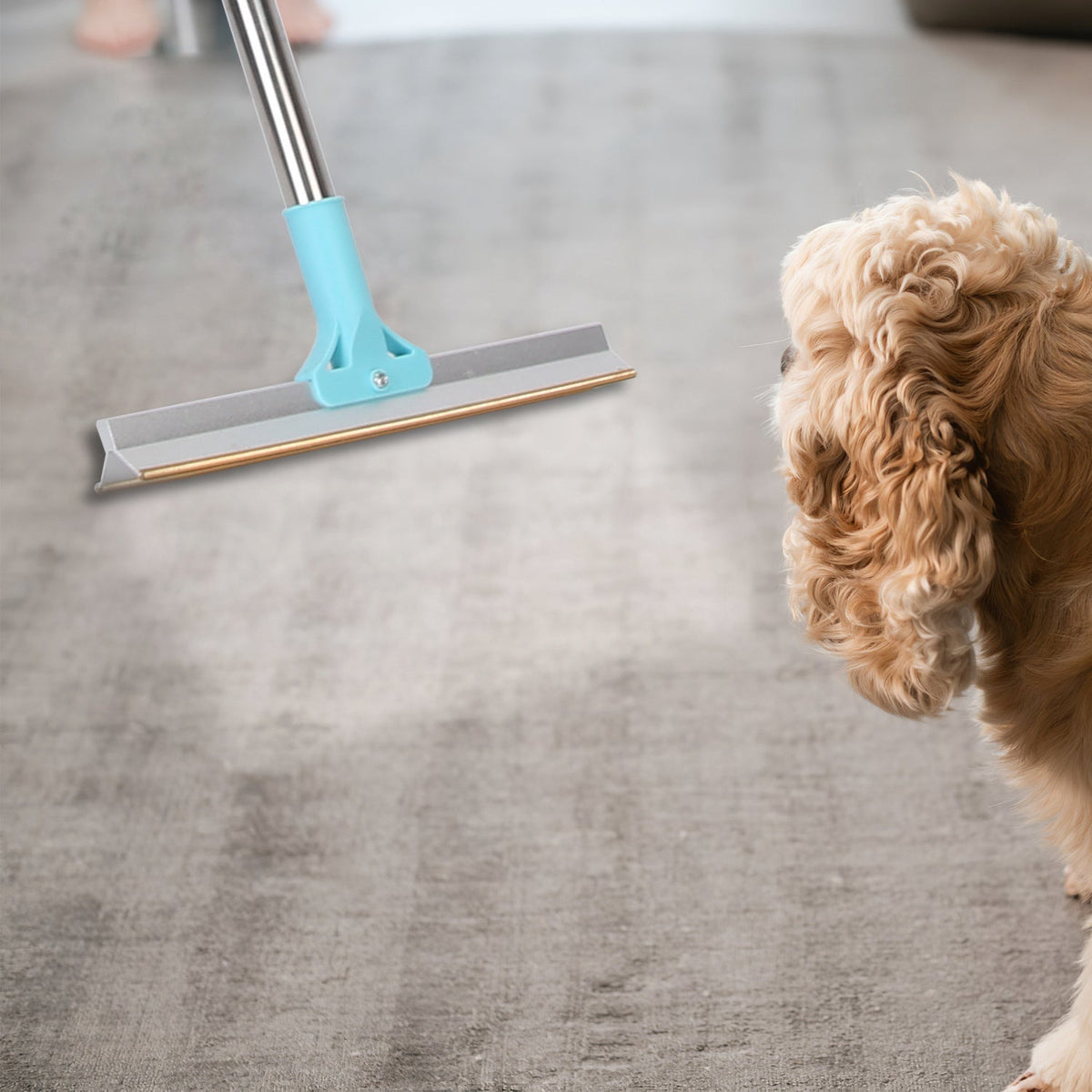 Pet Hair Removal Rake with 54" Adjustable Telescopic Handle