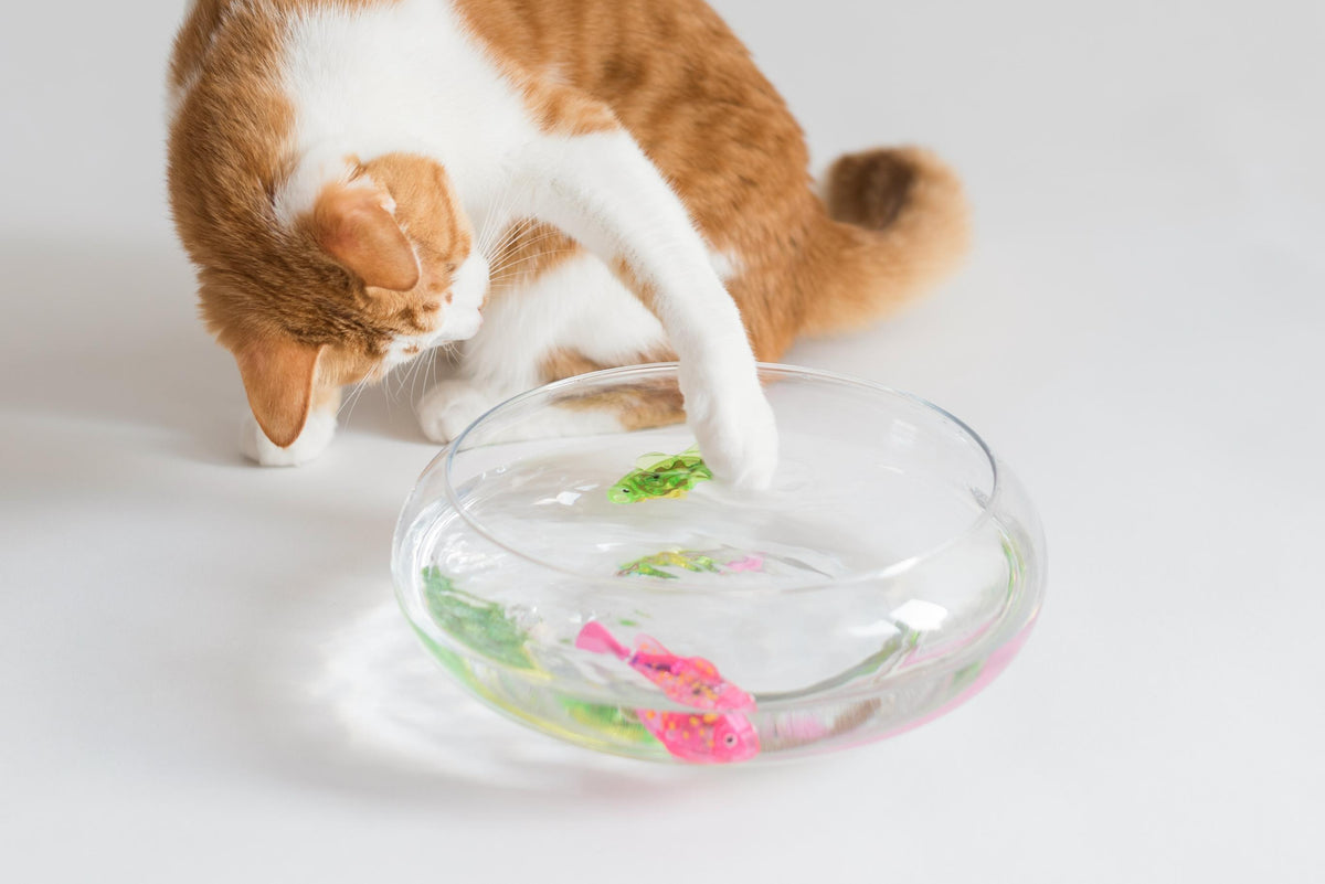 Interactive LED Swimming Fish Toy for Cats & Dogs