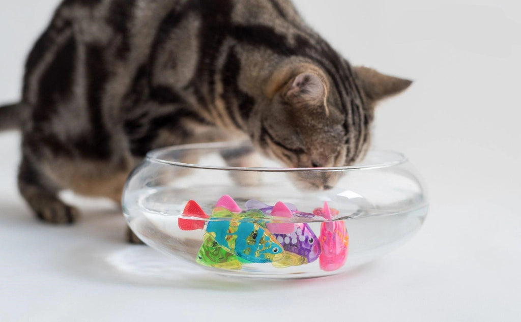 Interactive LED Swimming Fish Toy for Cats & Dogs