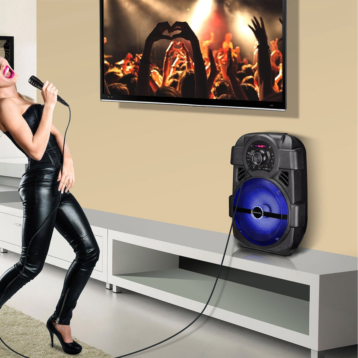 KOCASO 8-Inch Bluetooth PA Karaoke Speaker with Wired Mic