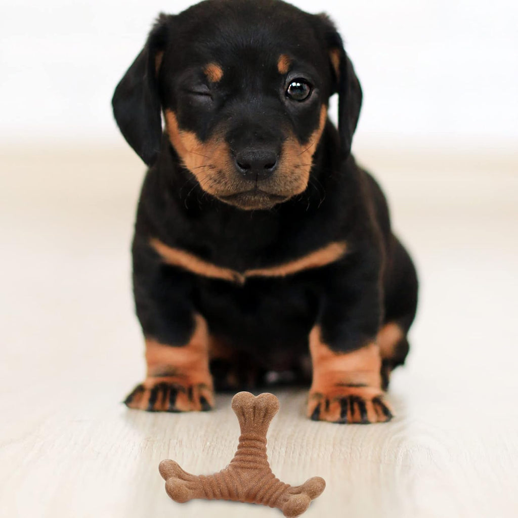 Puppy Teething Chew Stick & Interactive Dog Puzzle Toy