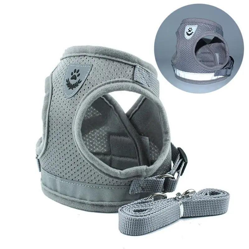Dog Harness and Leash Set For Small Medium Dogs Nylon Mesh Puppy Cat Harnesses Vest Reflective Walking Lead