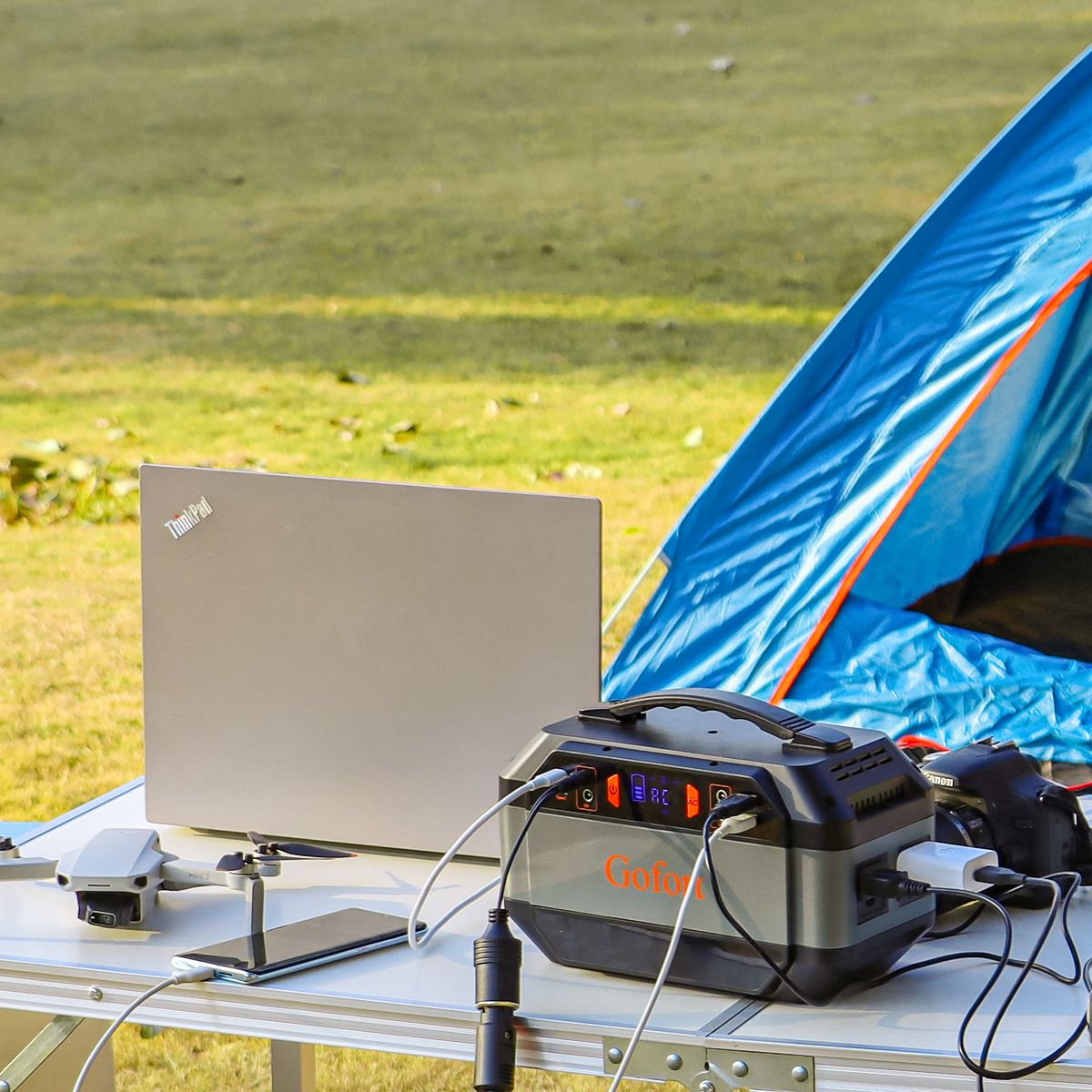 GOFORT 330W Portable Power Station & 100W Solar Panel — 299Wh