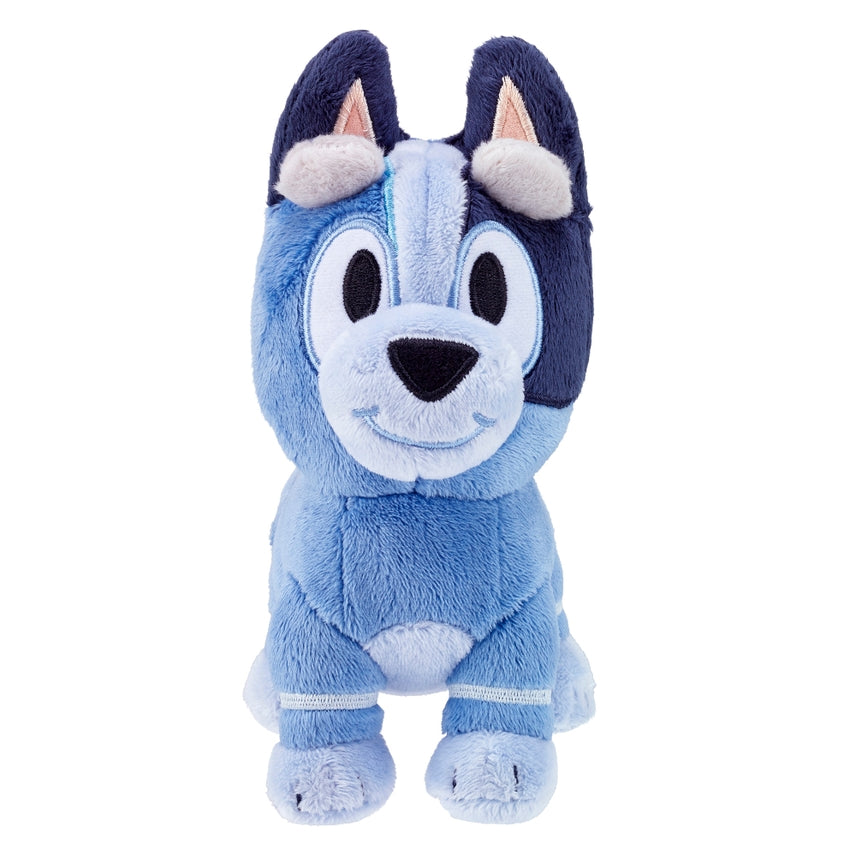 Bluey Socks Plush